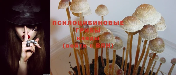марки nbome Алексеевка