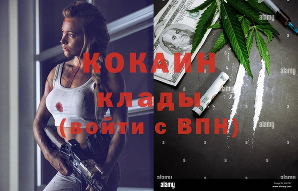 твердый Алзамай