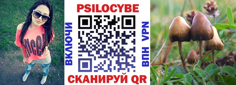 МЕГА сайт  Юхнов  Галлюциногенные грибы Cubensis 